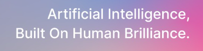 AI Content Data Entry